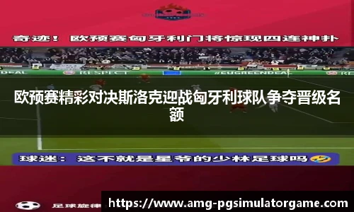 欧预赛精彩对决斯洛克迎战匈牙利球队争夺晋级名额