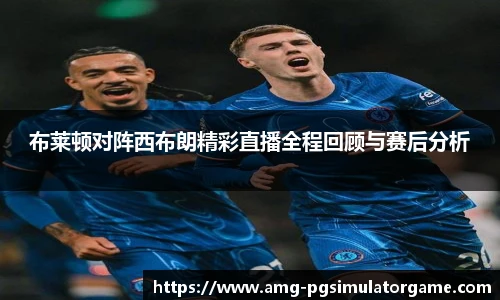 布莱顿对阵西布朗精彩直播全程回顾与赛后分析
