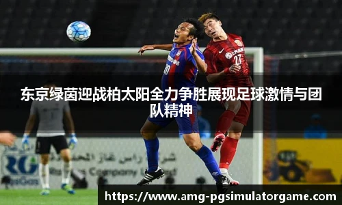 东京绿茵迎战柏太阳全力争胜展现足球激情与团队精神