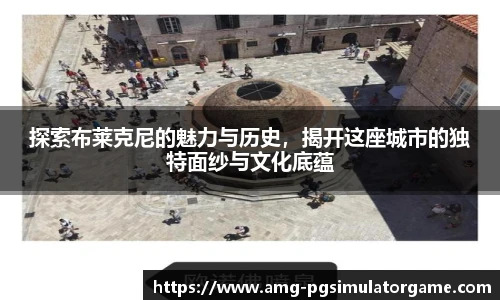 探索布莱克尼的魅力与历史，揭开这座城市的独特面纱与文化底蕴