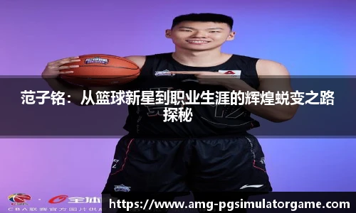 PG电子模拟器试玩网站